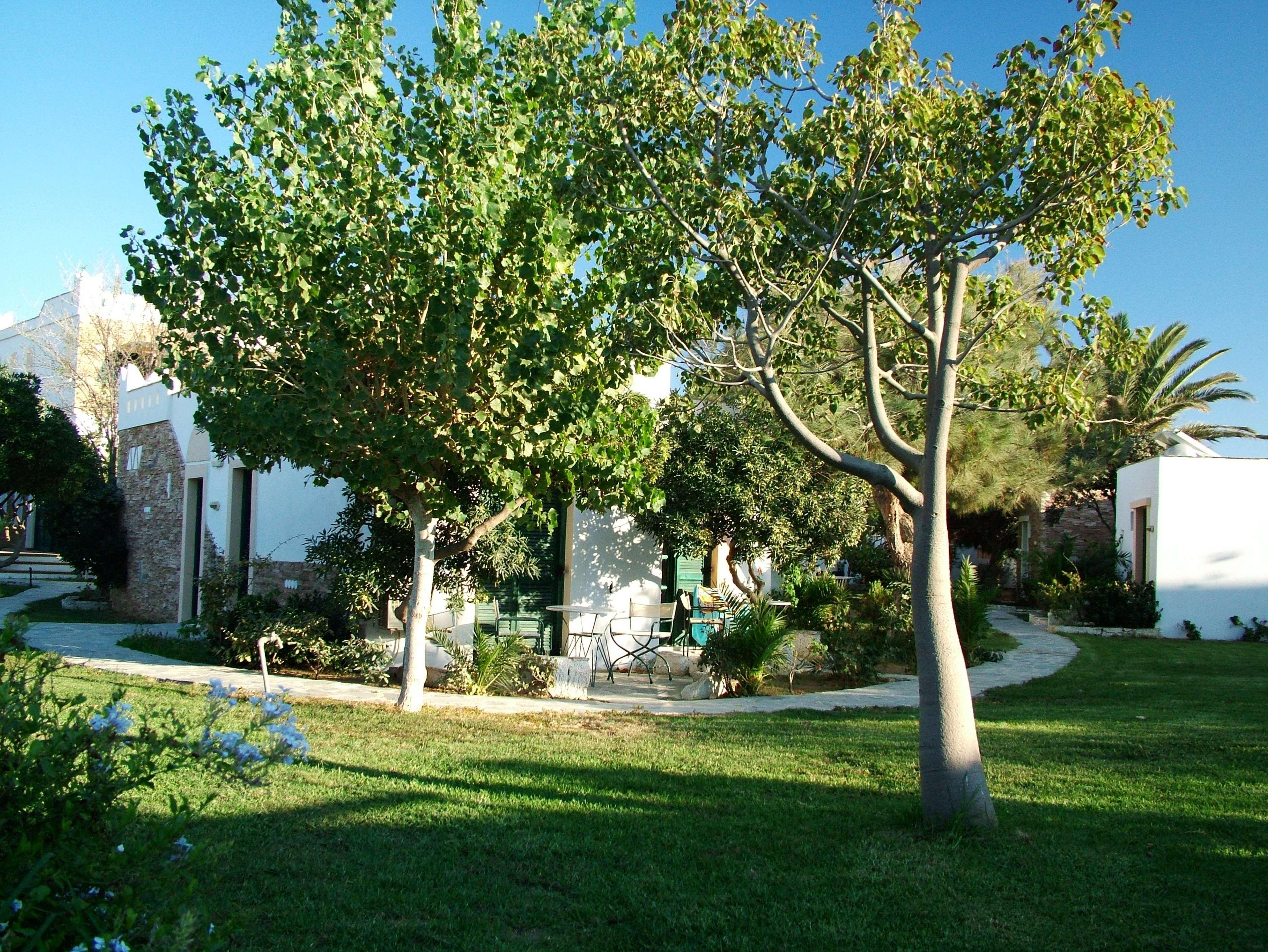 Hotel Naxos Beach Naxos City Exterior foto
